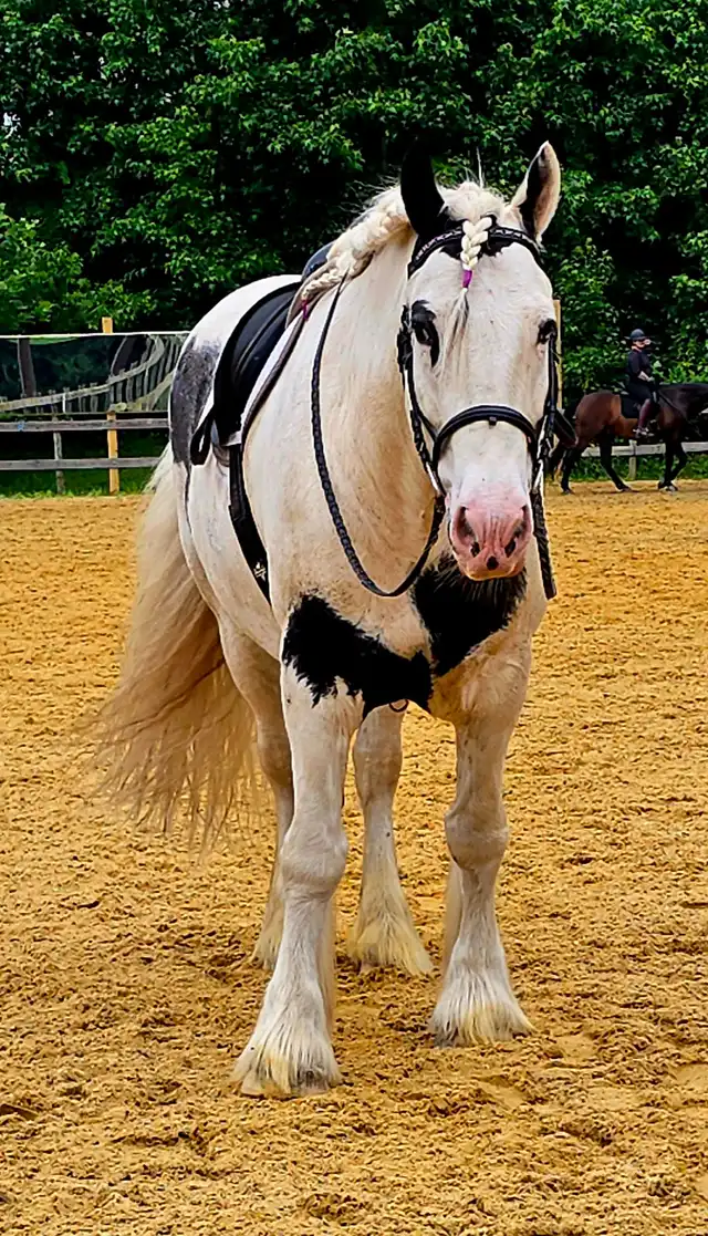 KSF Heart of the Ocean - Media (Unknown)