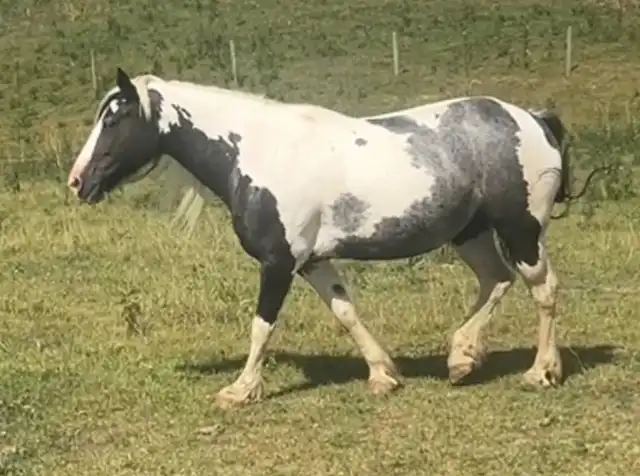 JTRW Sundance - Media (Unknown)