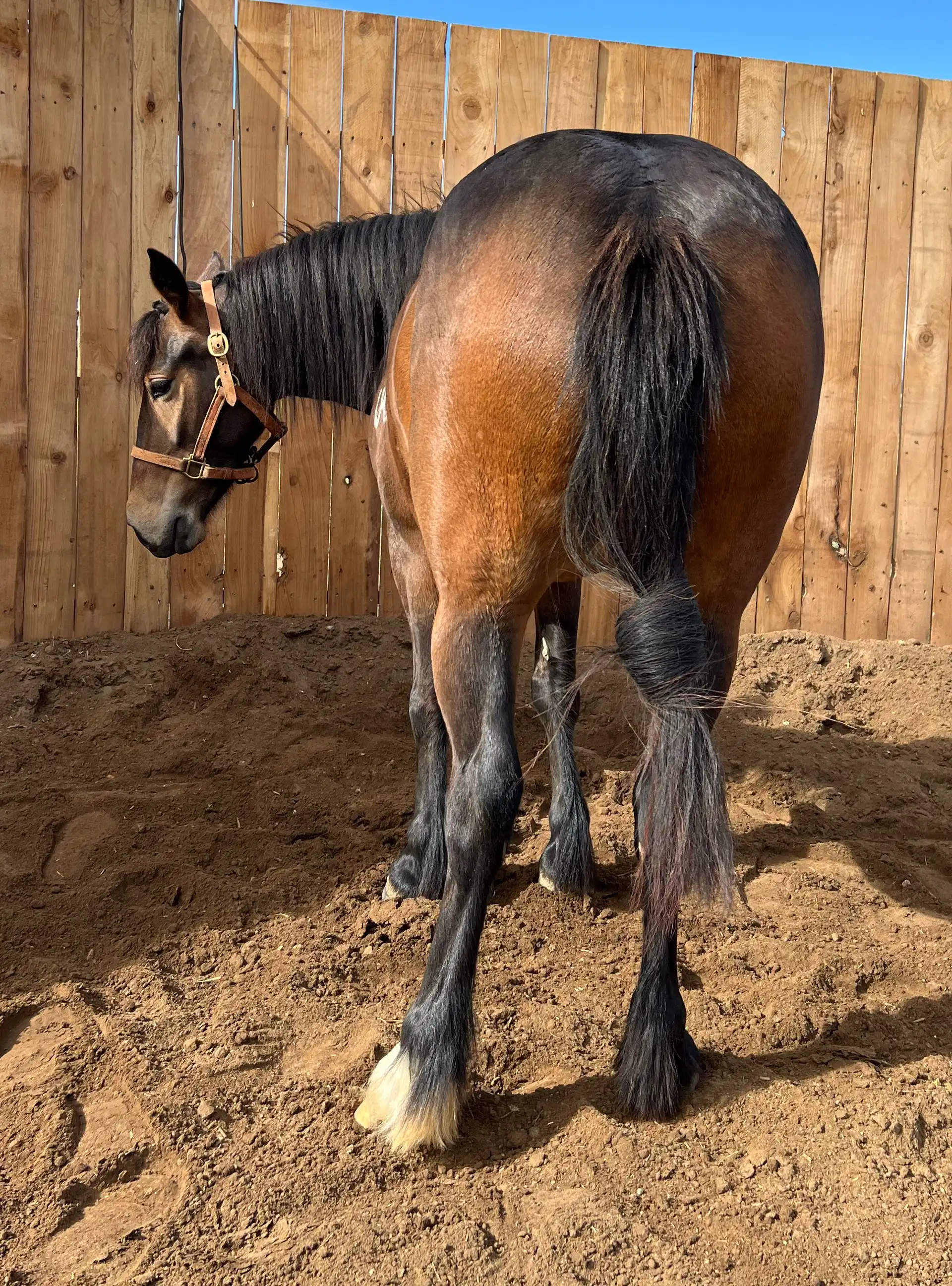 Lila Elowen - Media (Unknown)