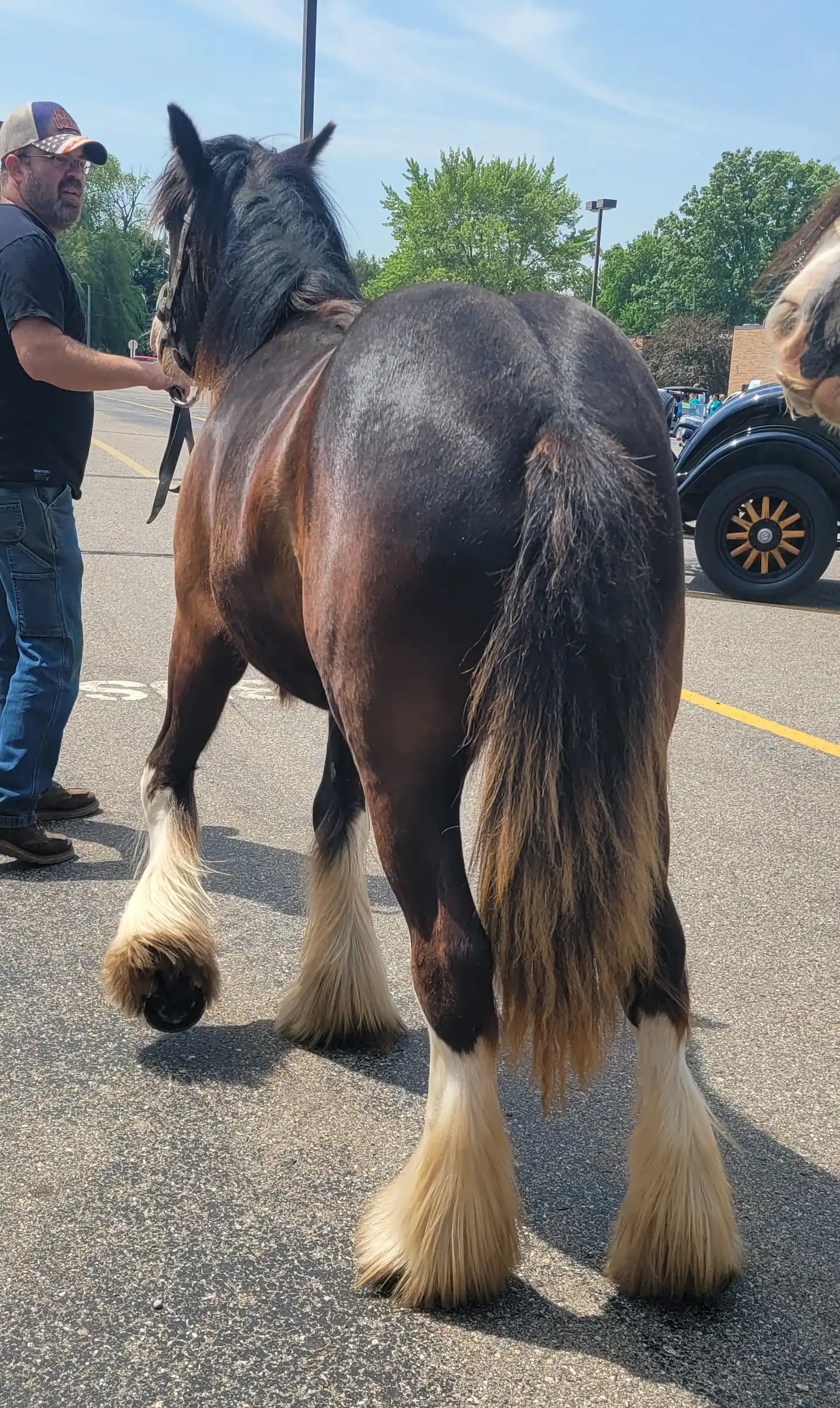 FTF In the Air Tonight - Media (Unknown)