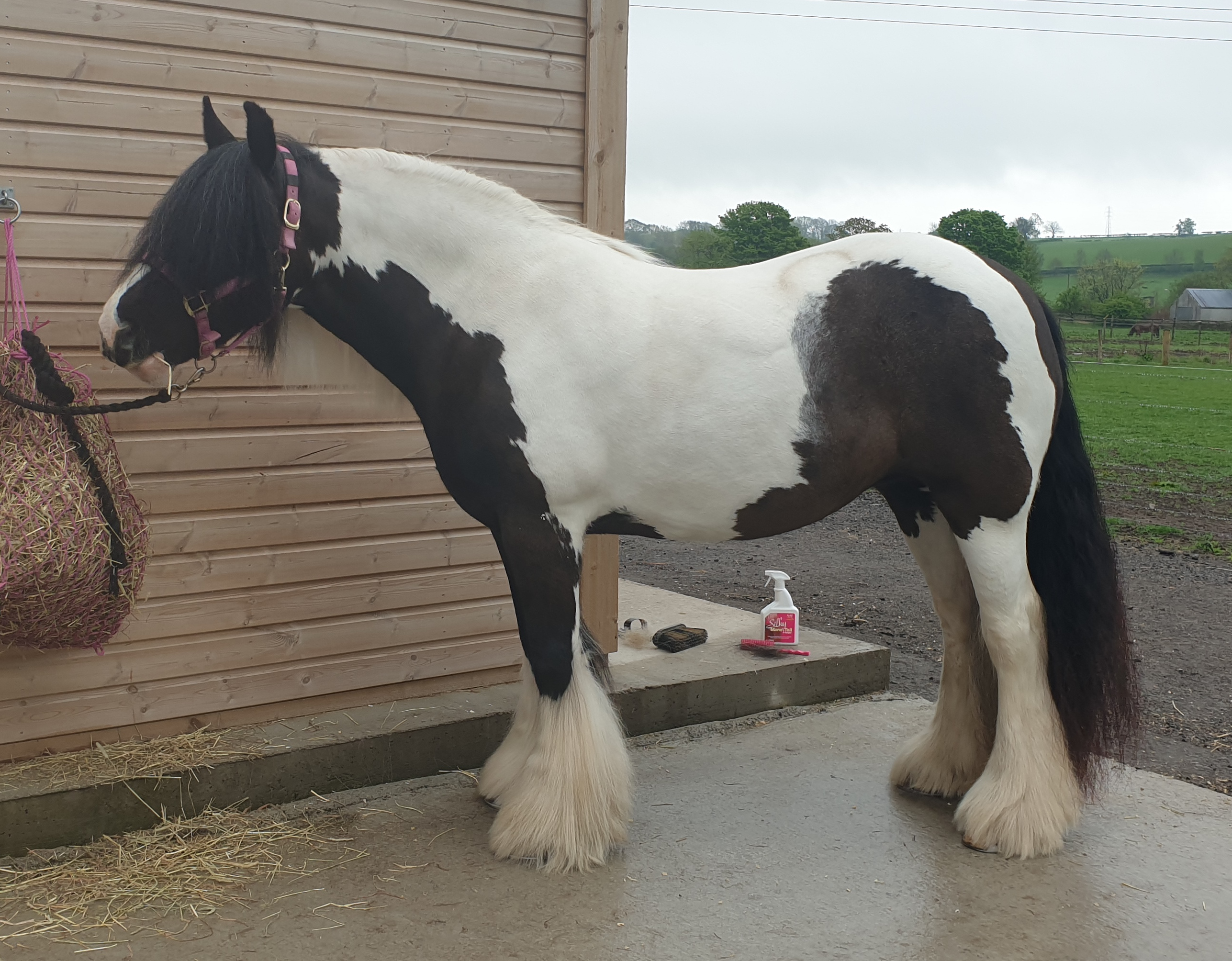 My Bonnie Lass - Media (Unknown)