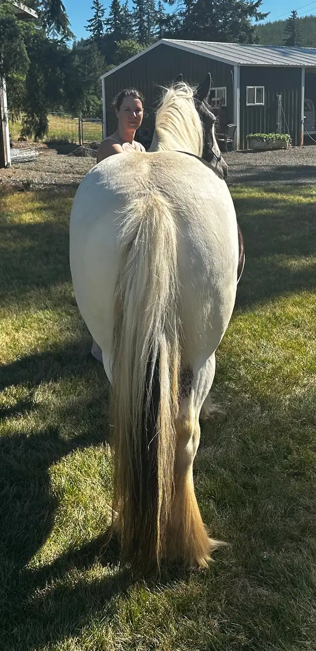 North Star Rose Royce - Media (Unknown)