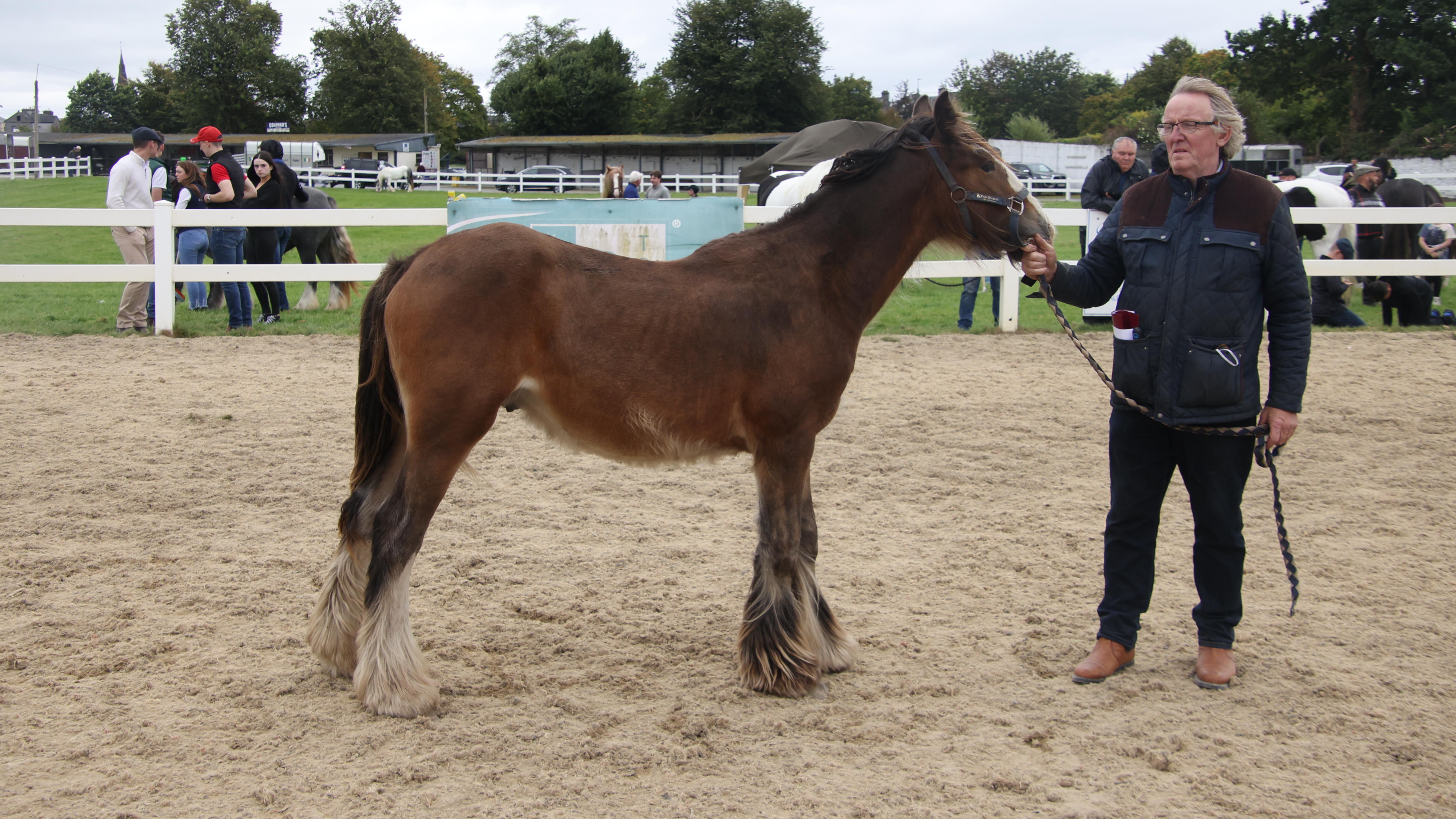 The Laois Man - Media (Unknown)