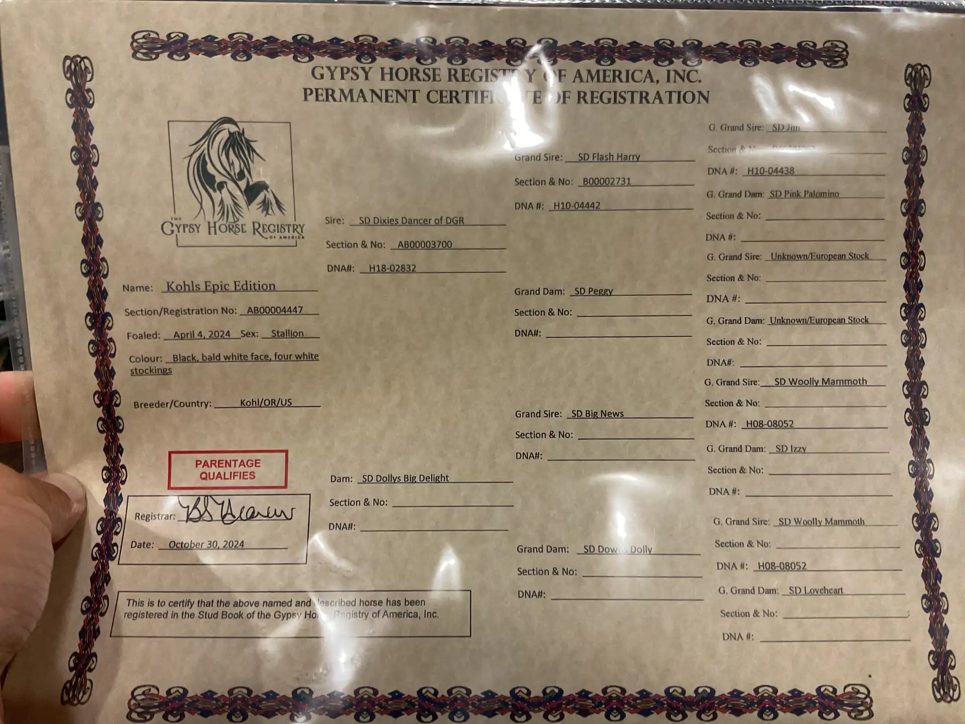 Registration Pedigree - Media (1915)