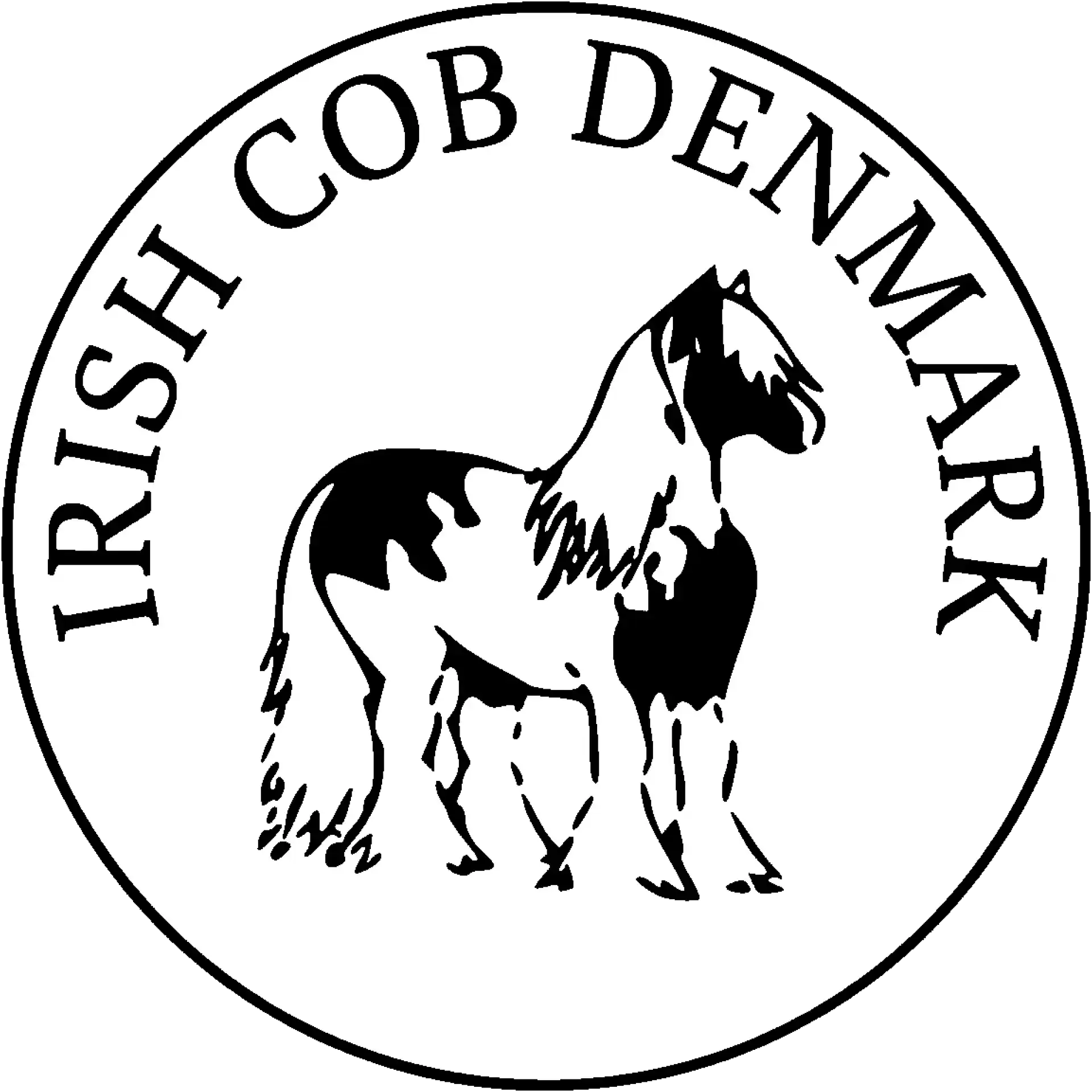 Irish Cob Denmark - Media (2353)
