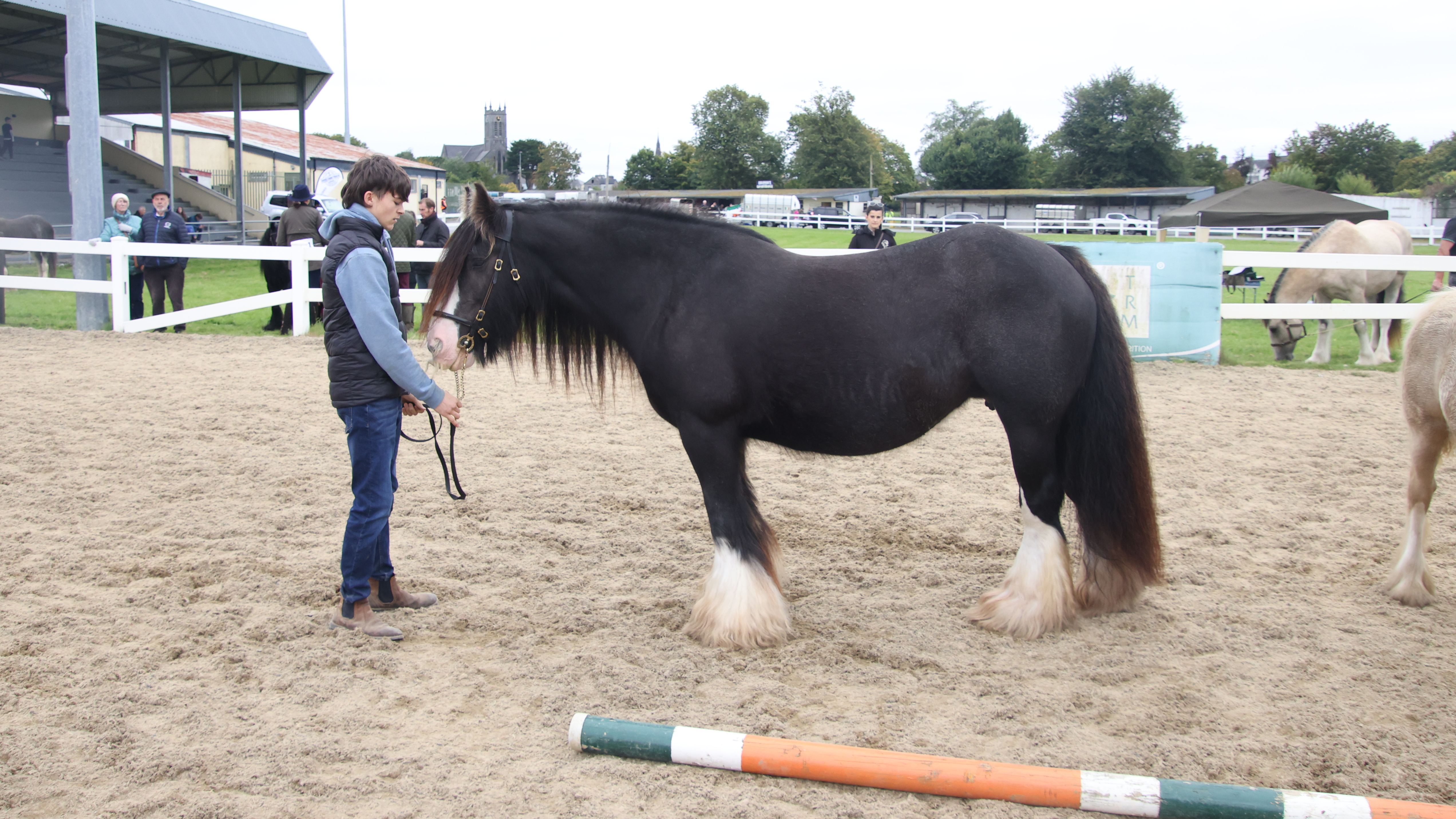 Queenie - Media (Unknown)