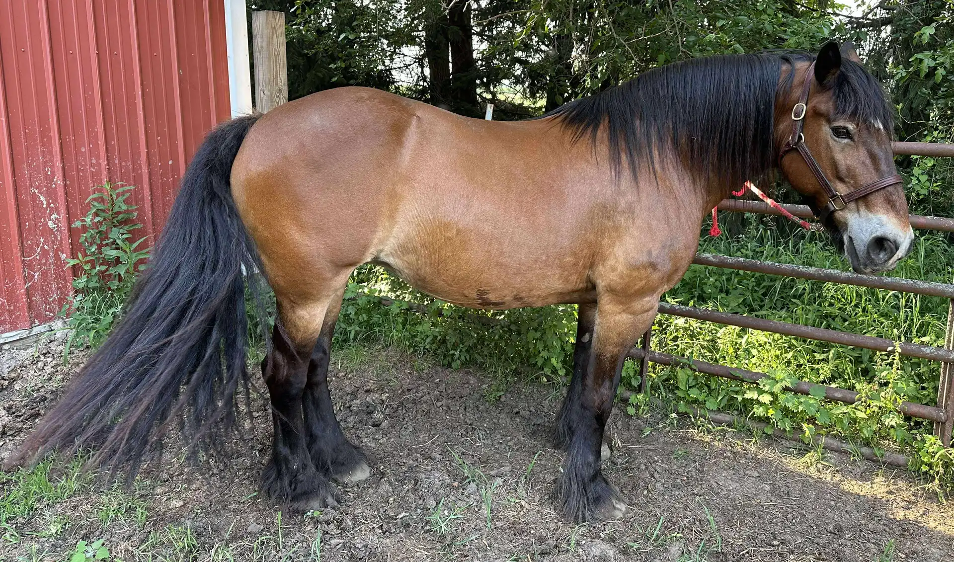 Carly Jo - Media (Unknown)