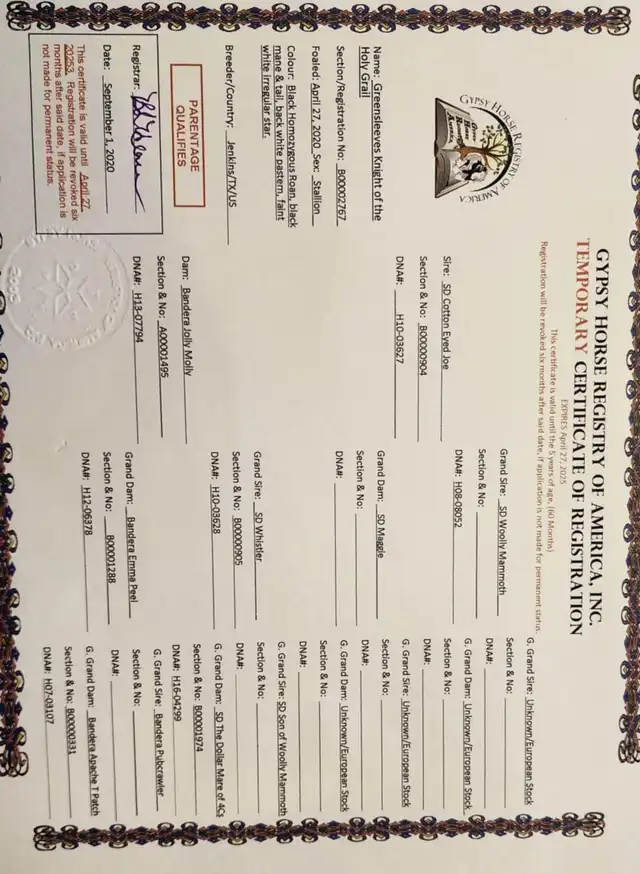 Registration Pedigree - Media (2214)