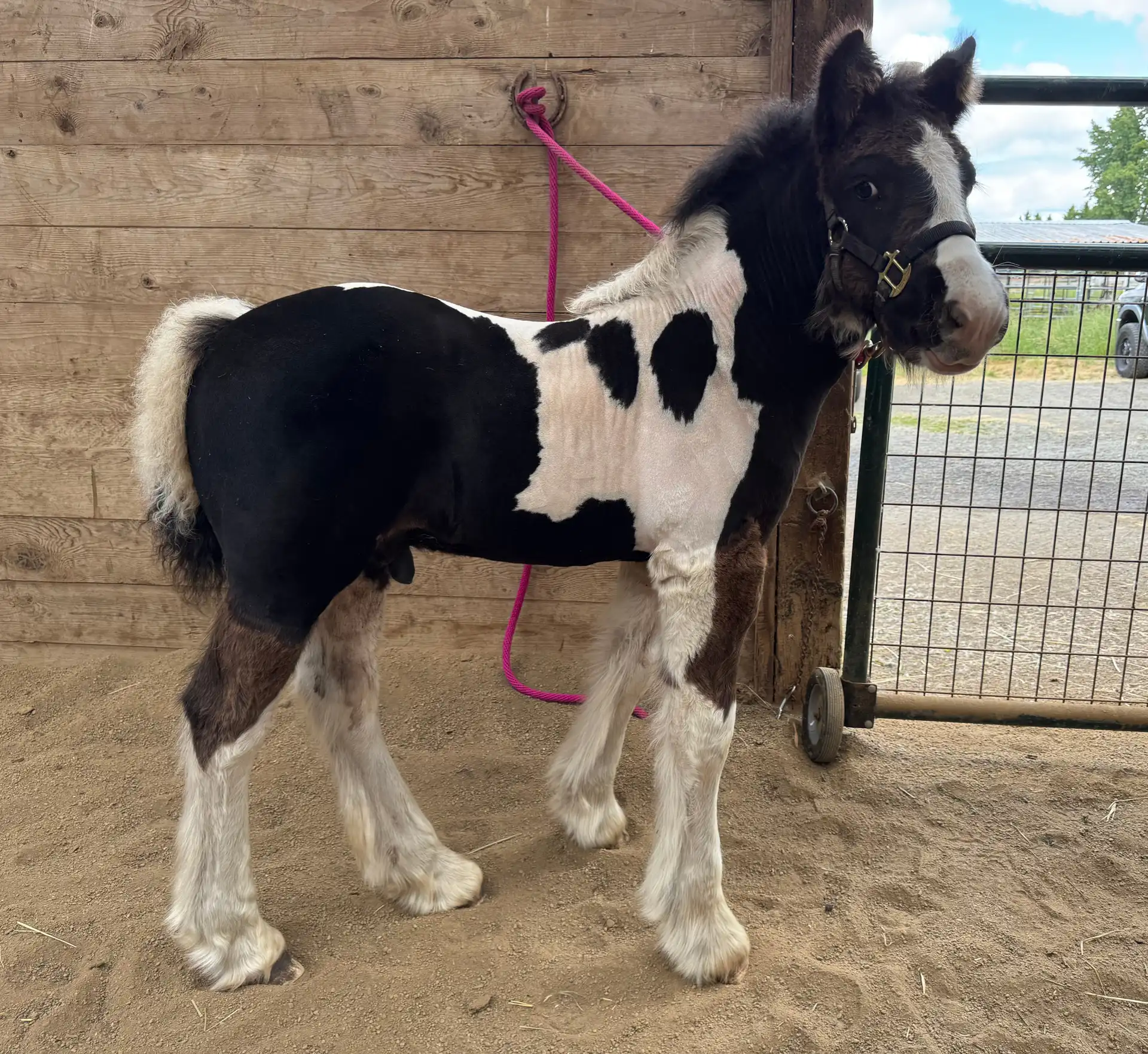 OMG Money Man - Media (Unknown)