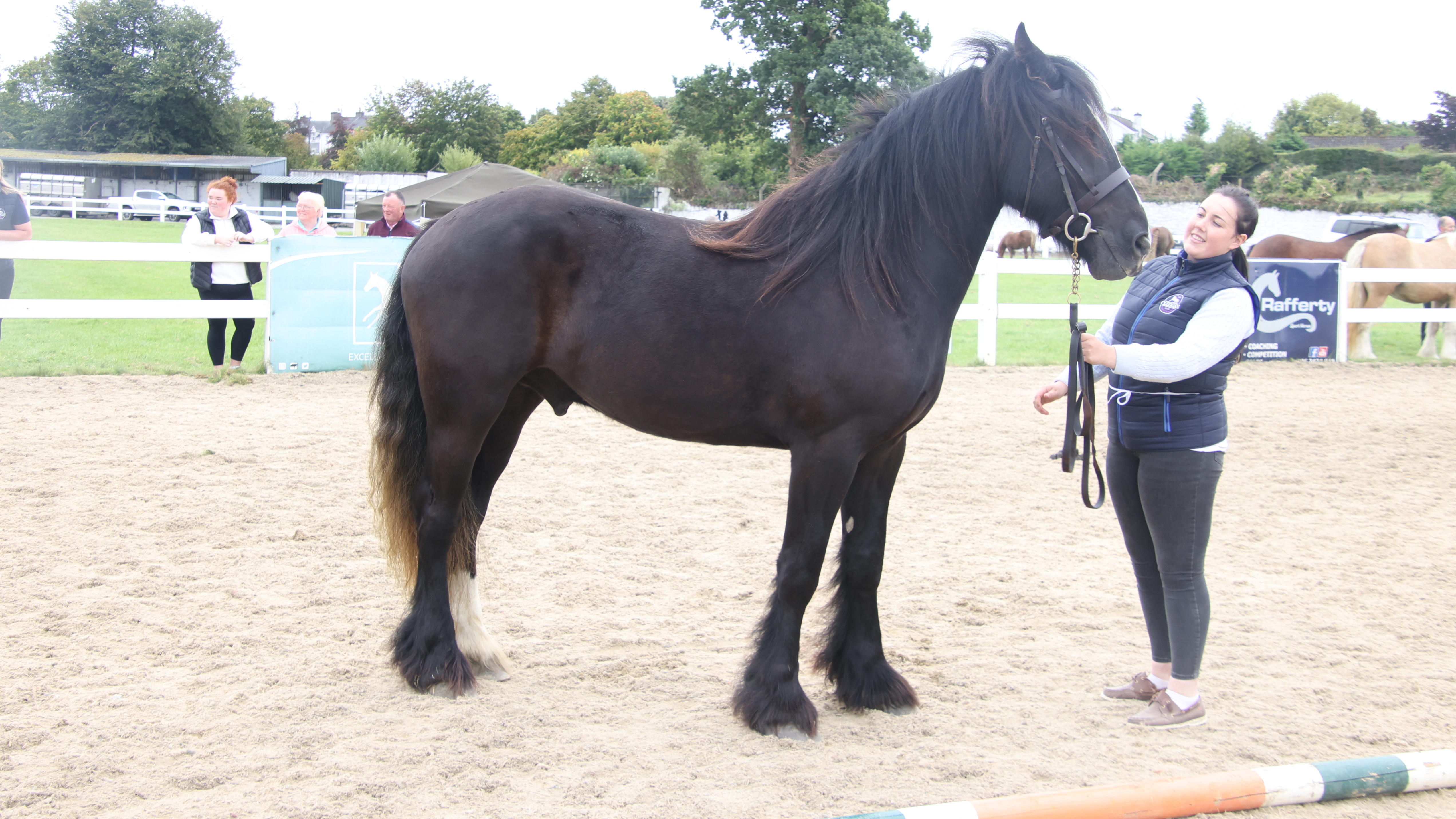 Cleggan Gw - Media (Unknown)