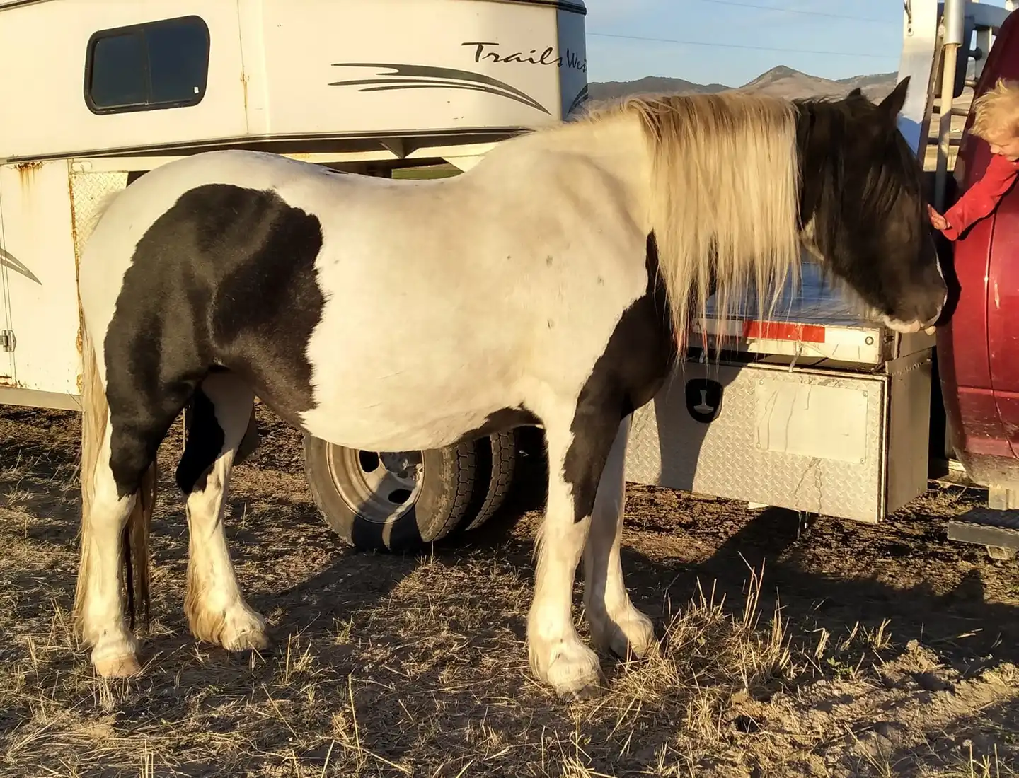 Taviaz Push Comes to Tango - Media (Unknown)