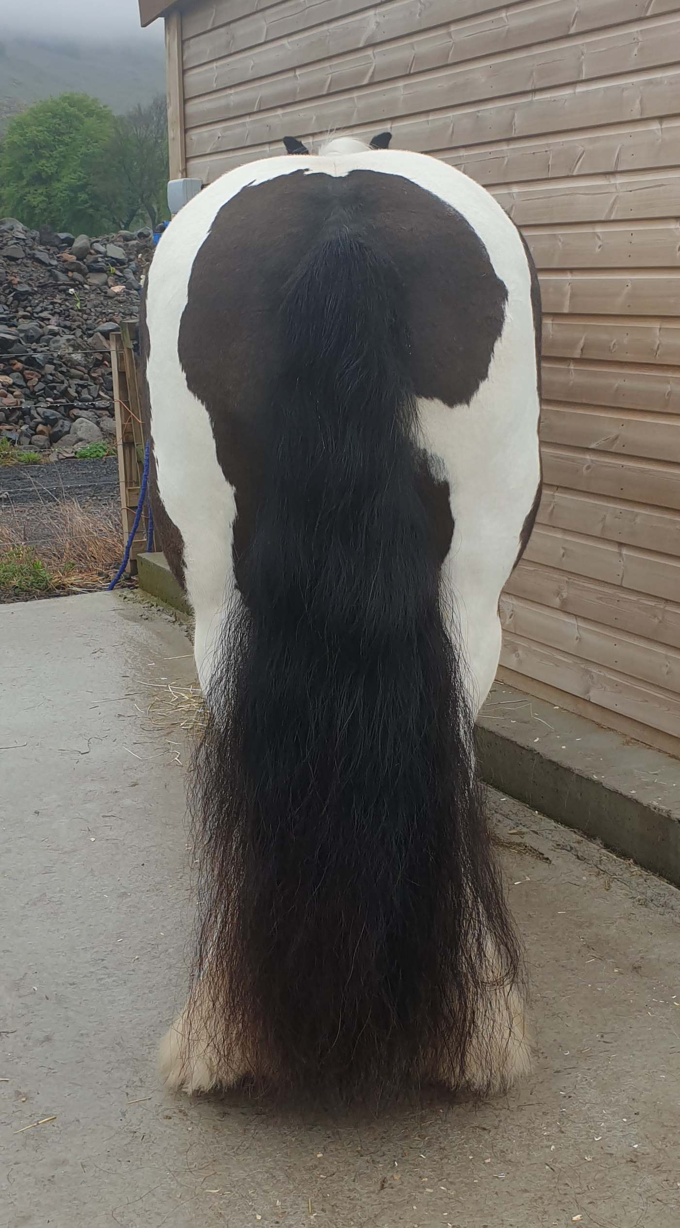 My Bonnie Lass - Media (Unknown)