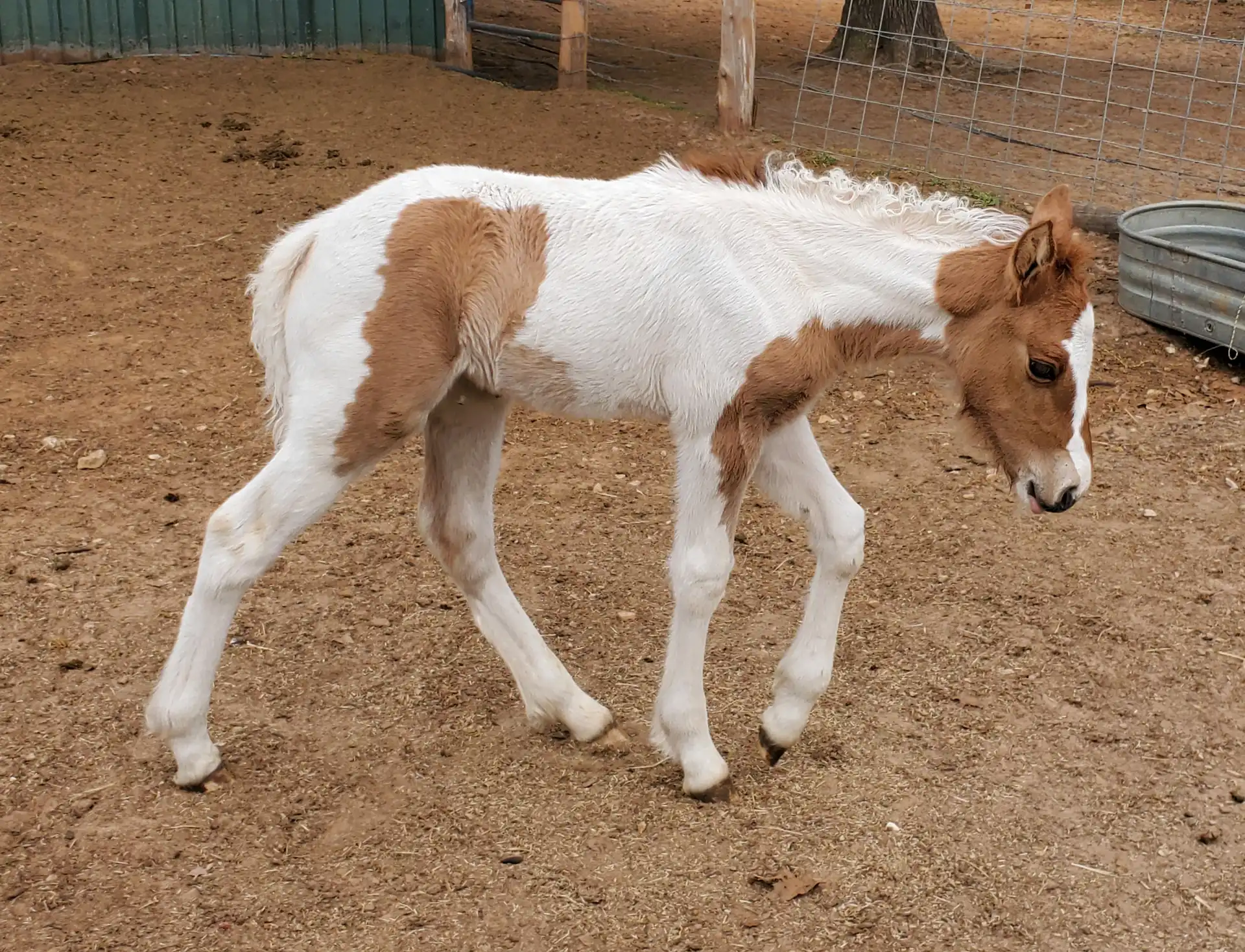 RsF Versaces Got Bubbles - Media (Unknown)