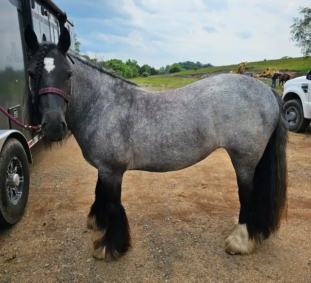 Gitt Made With Amazing Grace - Media (Unknown)