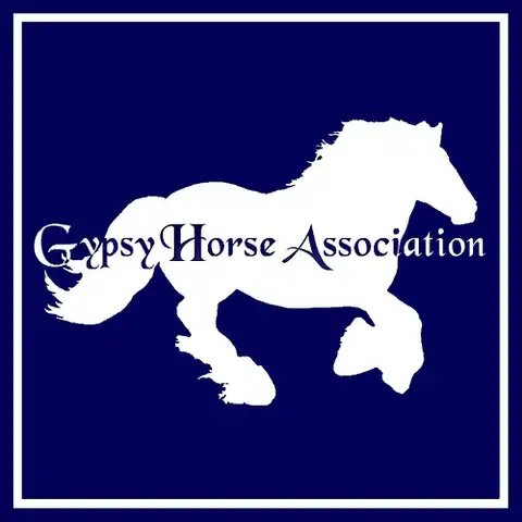 Gypsy Horse Association