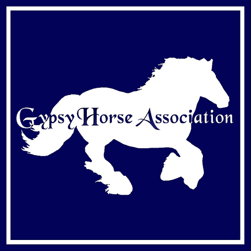 Gypsy Horse Association - Media (1466)