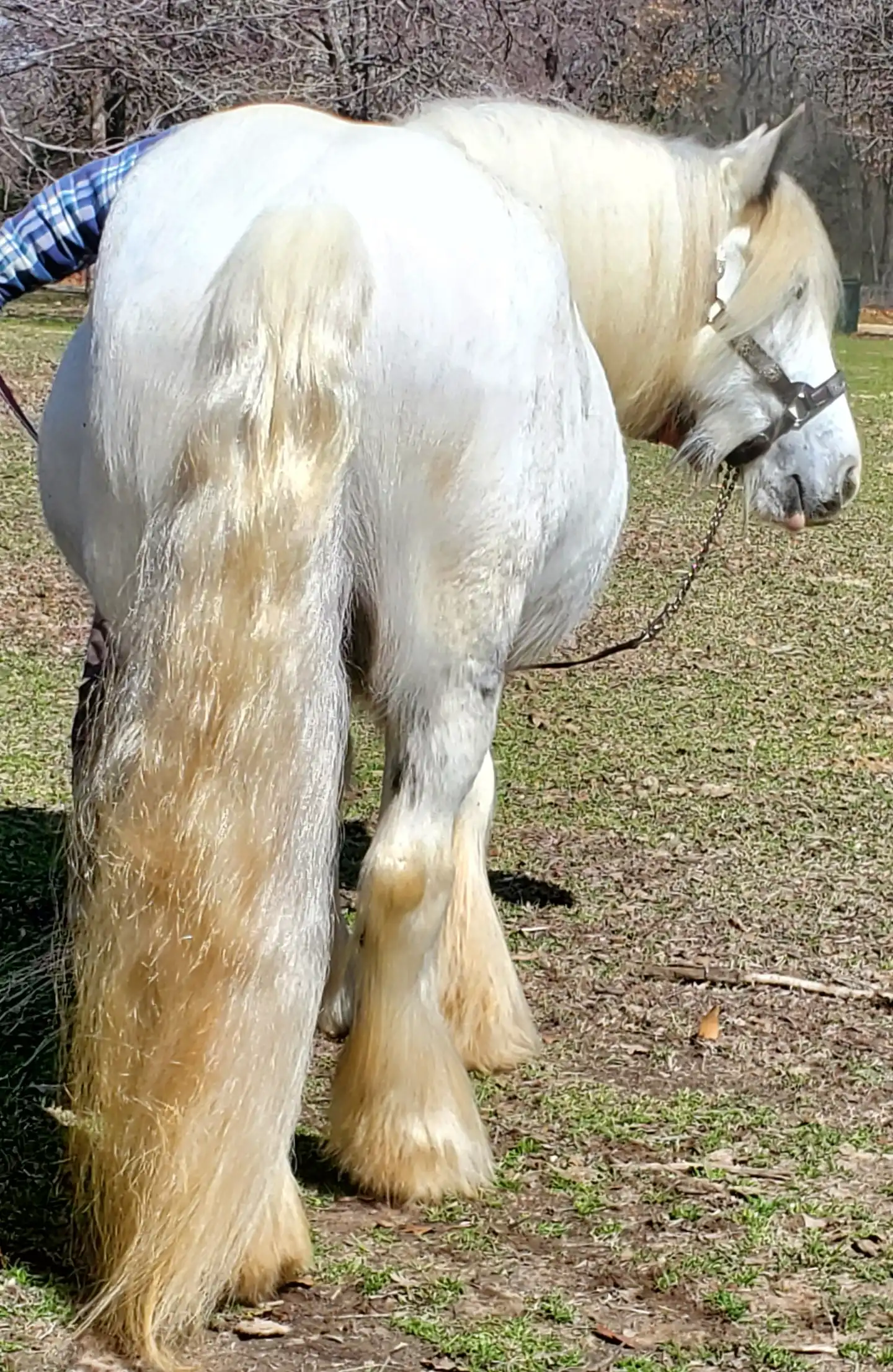 RsF Rsf Louis Vuittons Sophia - Media (Unknown)