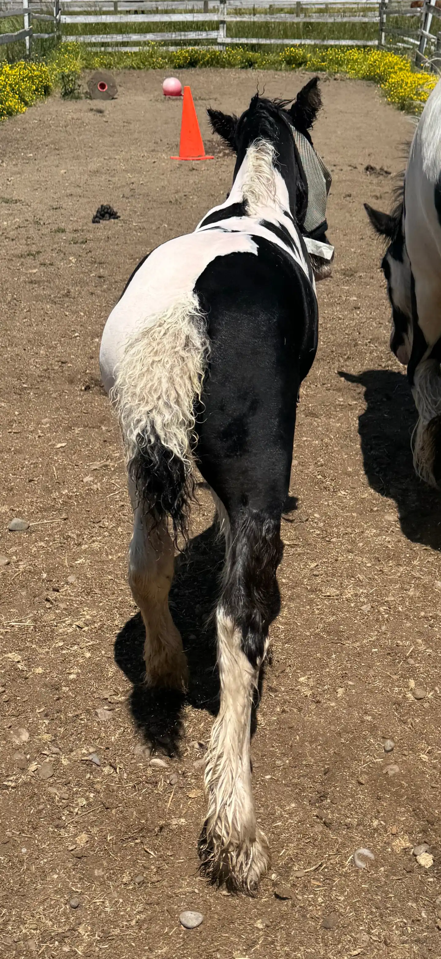 OMG Money Man - Media (Unknown)