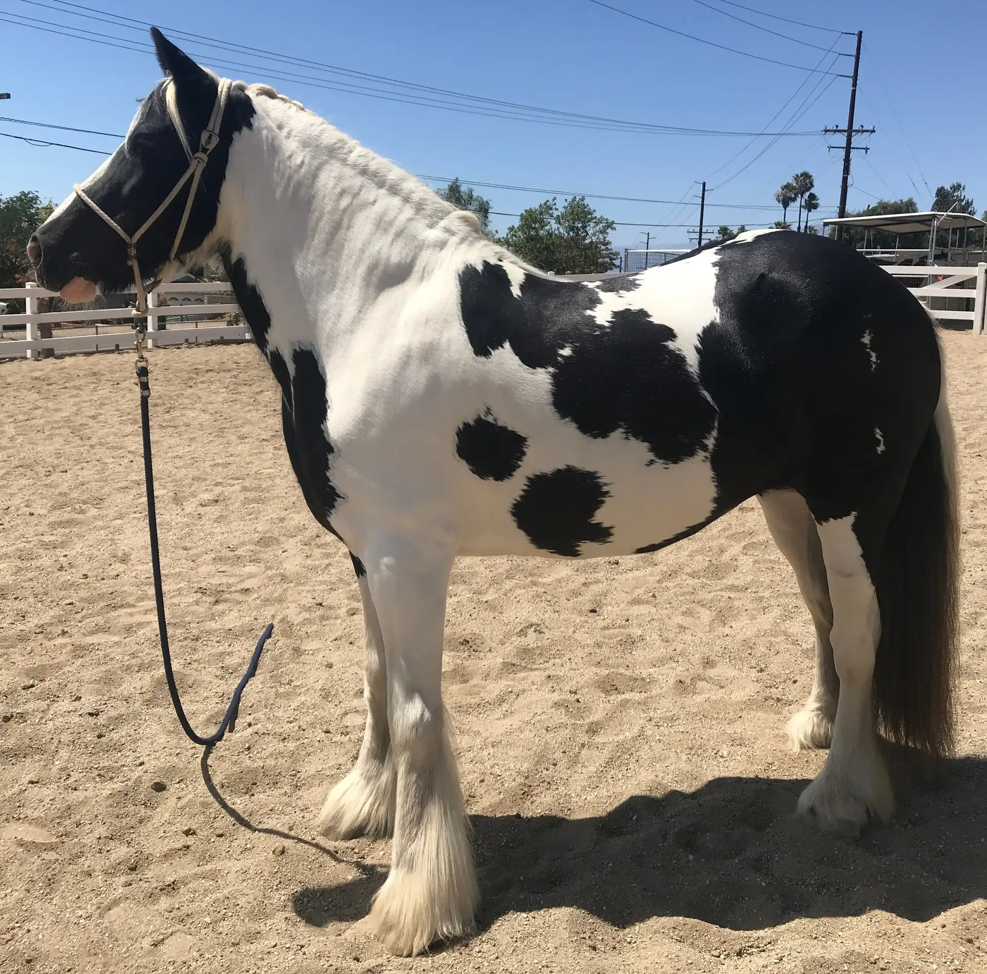 Kb Charlie Rose - Media (Unknown)