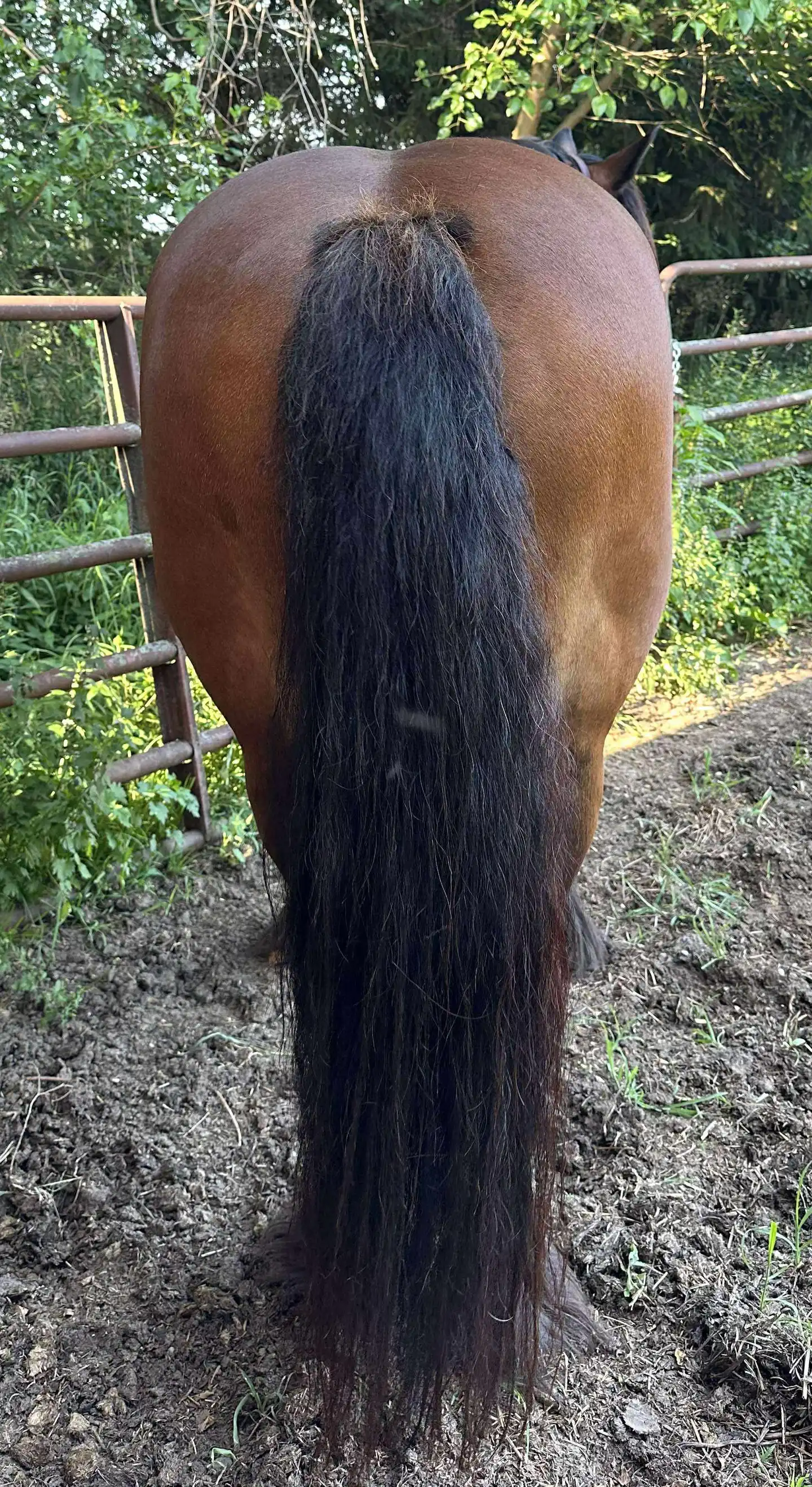 Carly Jo - Media (Unknown)