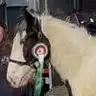 Cleggan Devine Happy Ever After