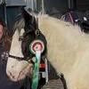 Cleggan Devine Happy Ever After - Media (Unknown)