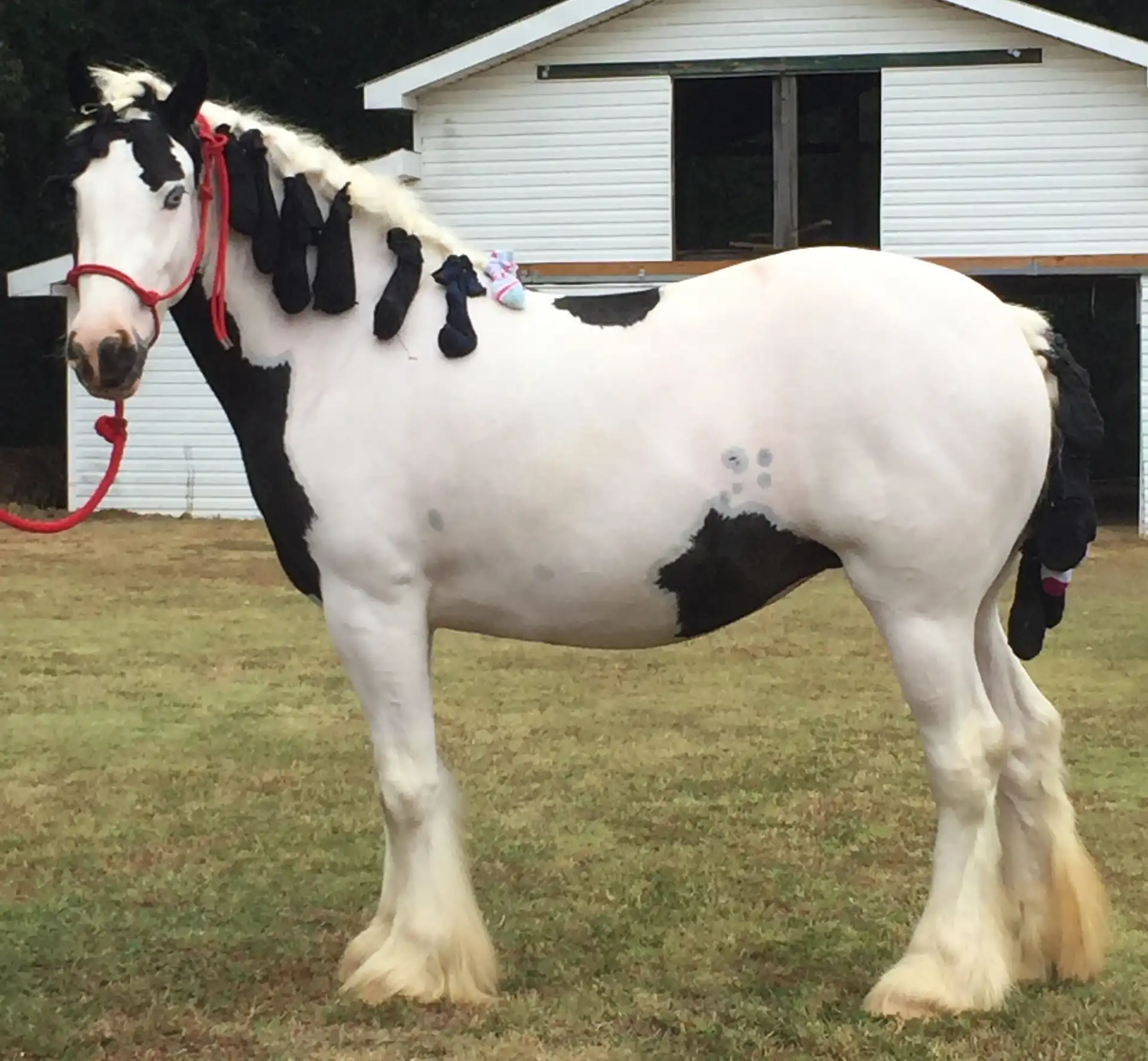 Westmoreland Hail Storm - Media (Unknown)
