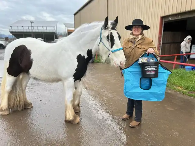 FF Meridas Eternal Evenstar - Media (Unknown)