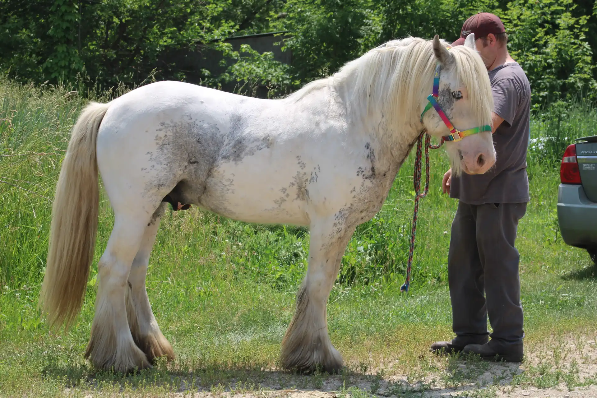 Prince Llyod - Media (Unknown)