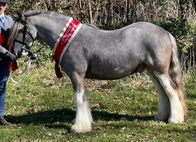 Turn It Up - Media (Unknown)