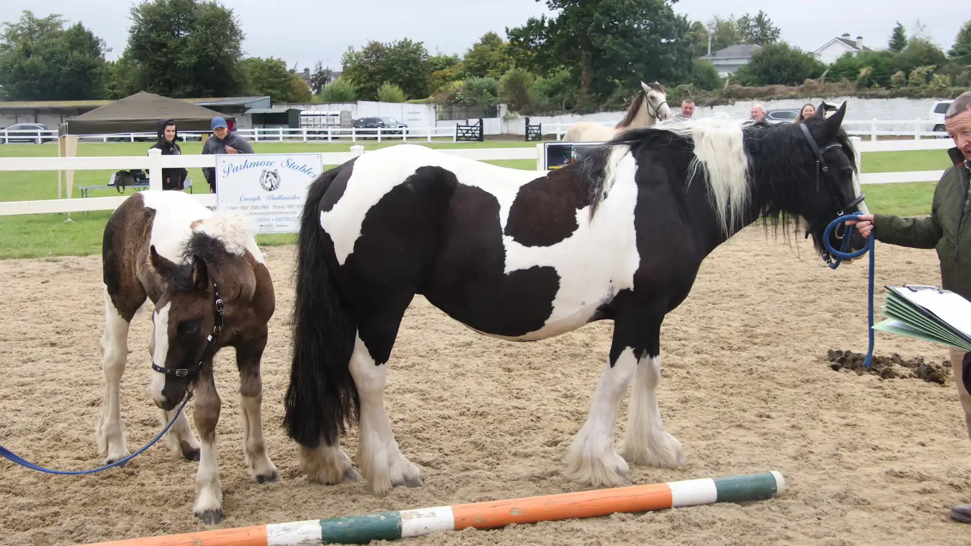 Gypsy, right side