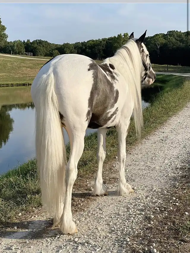 JTRW Lolita - Media (Unknown)