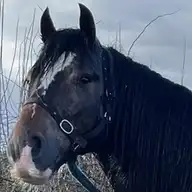 Gortderryboy Jacob