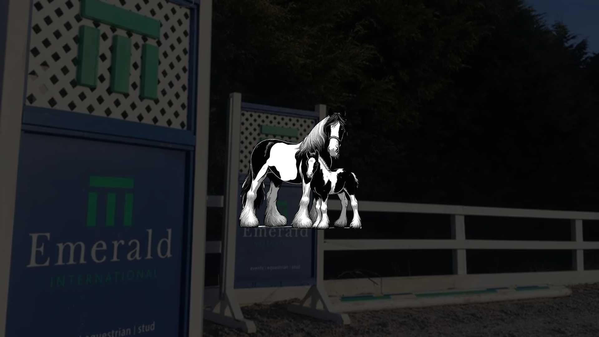 TCR Traditional Cob Autumn Show 2025 - Media (1456)