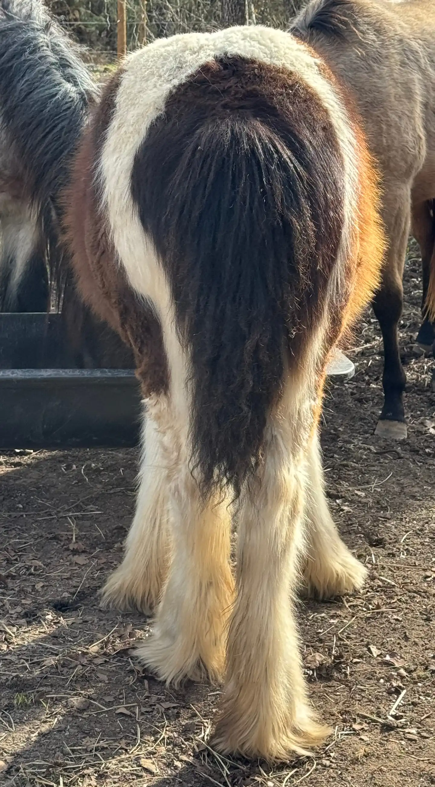 BR Tilly’s Lil Rusty Moonshine - Media (Unknown)