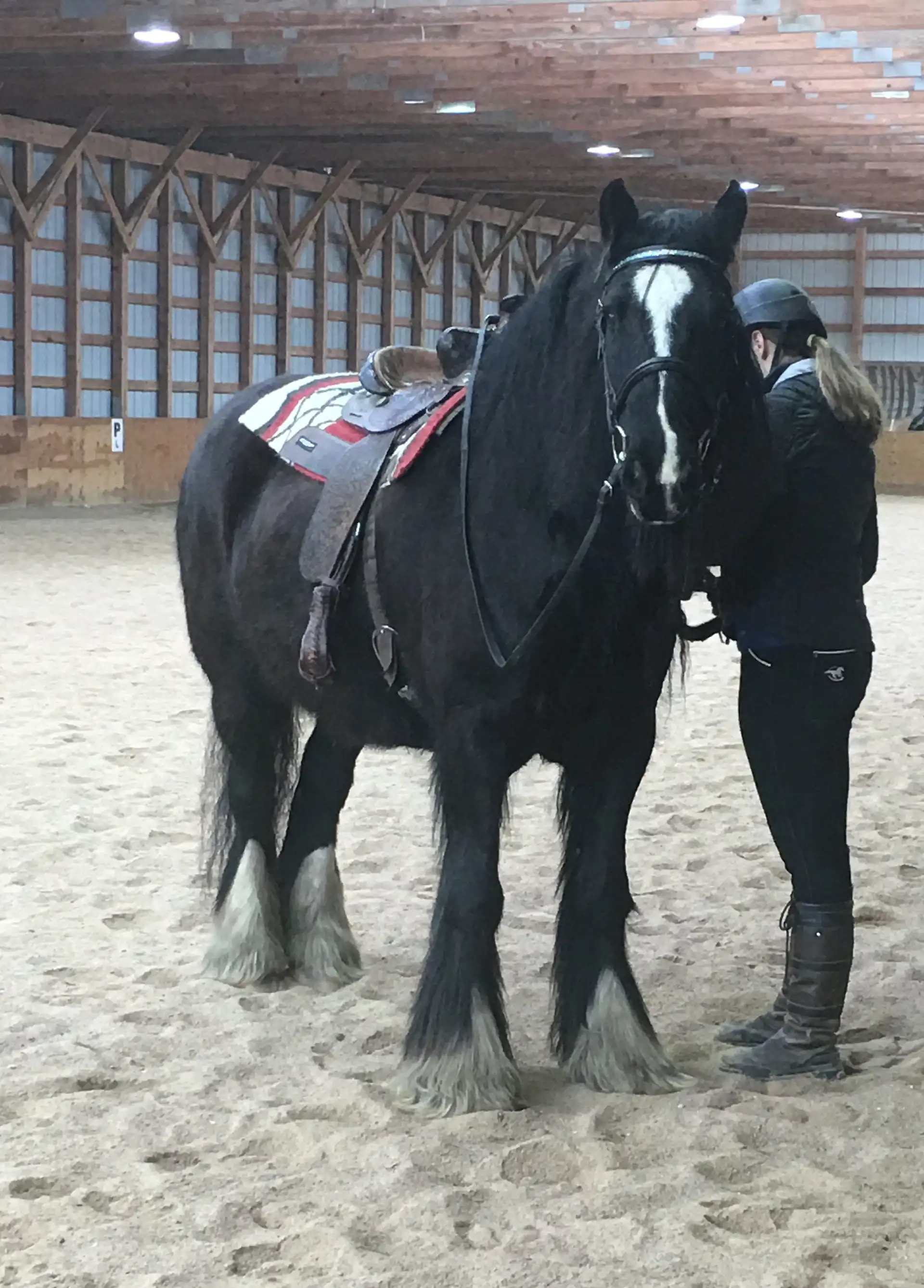 MS Izabel - Media (Unknown)