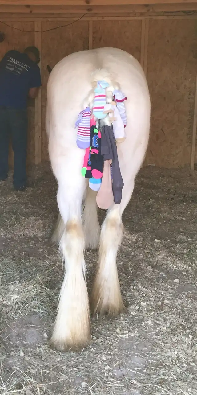 Westmoreland Hail Storm - Media (Unknown)