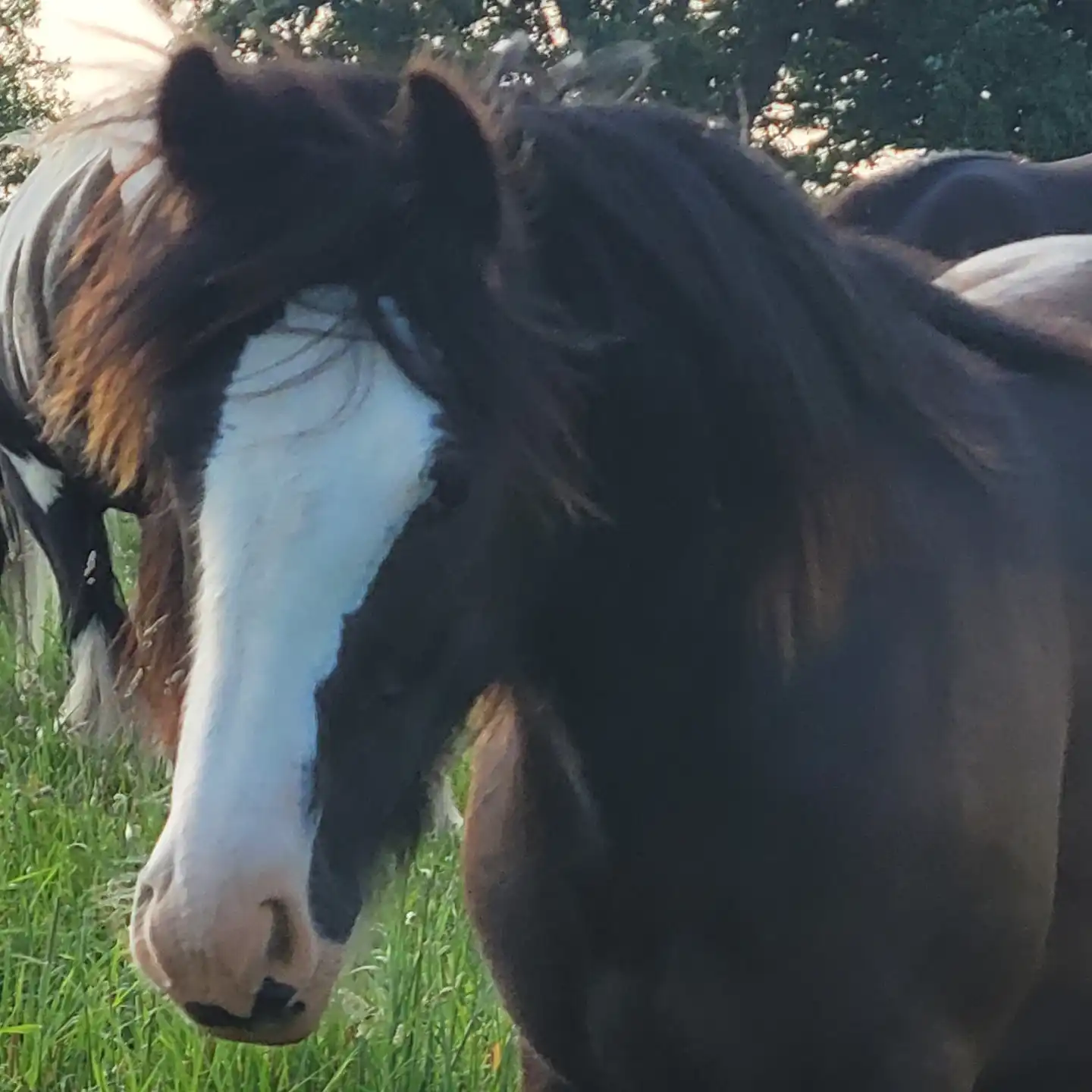 FTF In the Air Tonight - Media (Unknown)