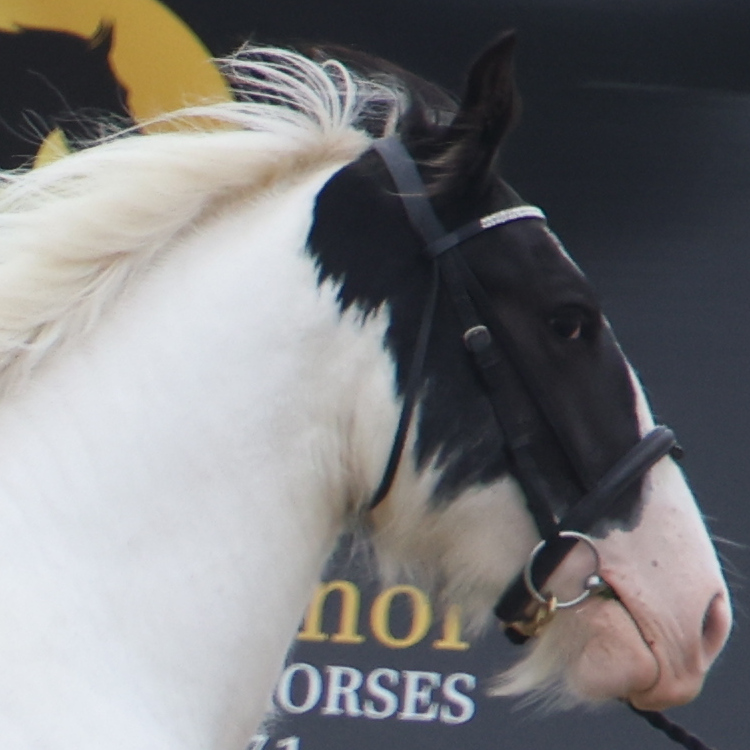 Mailo - Media (Unknown)