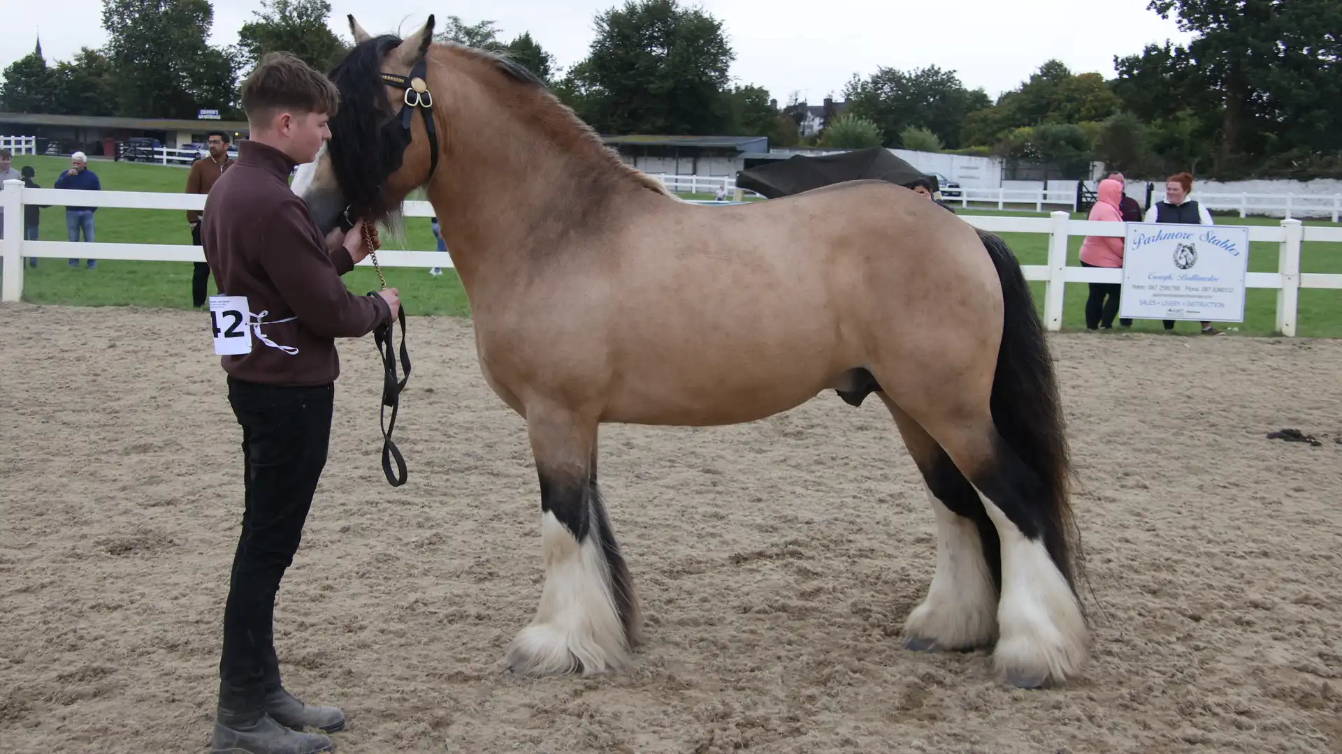 Golden Master, left side