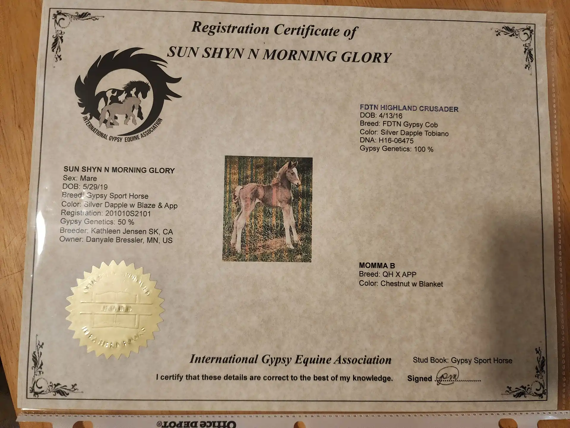 Registration Pedigree - Media (2190)