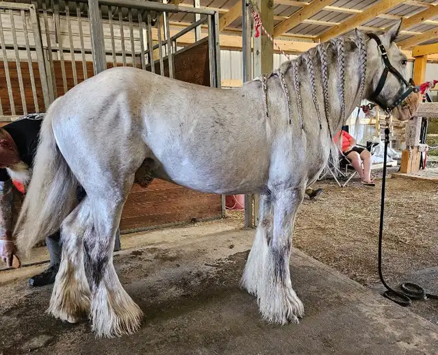 King of the South - Media (Unknown)