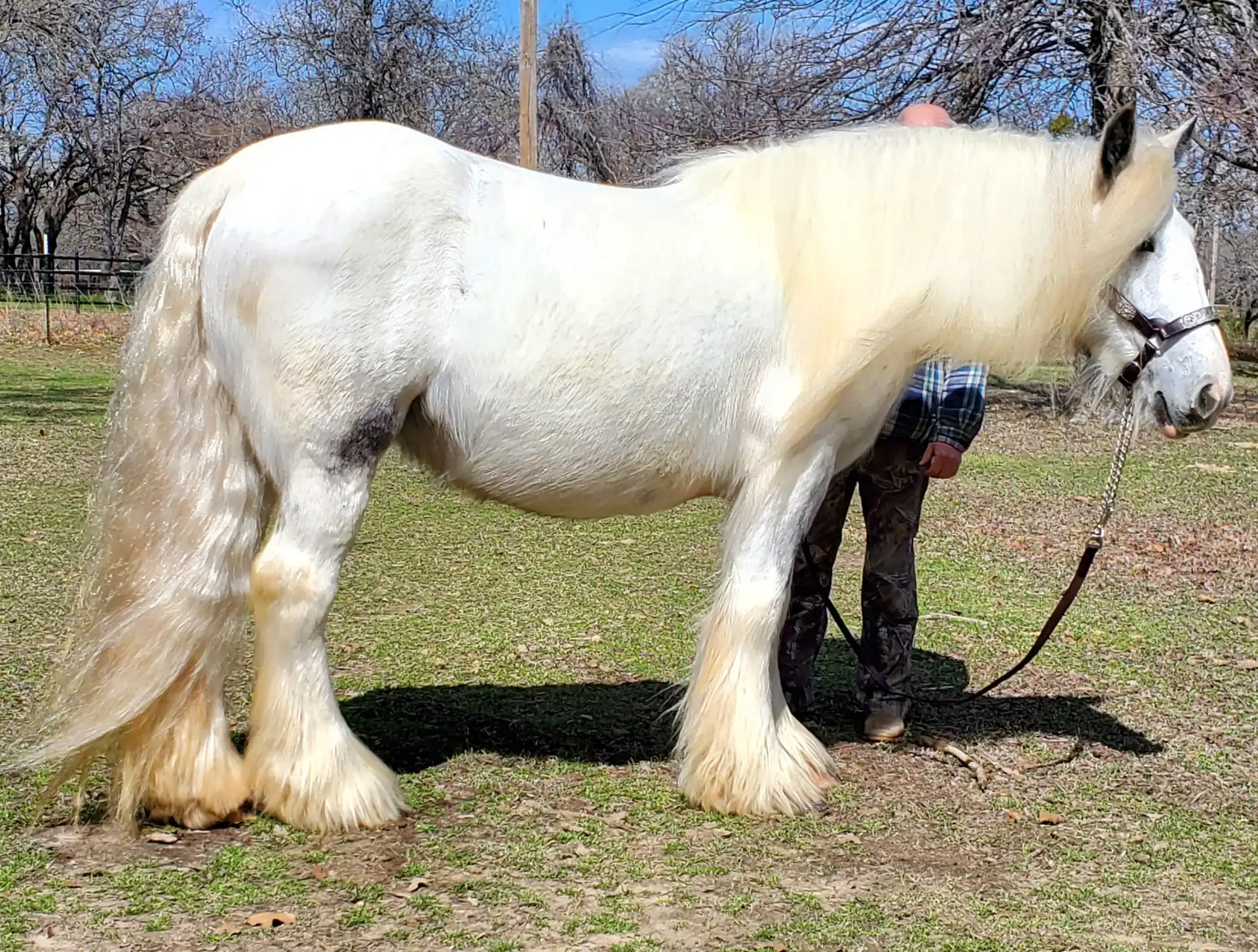 RsF Rsf Louis Vuittons Sophia - Media (Unknown)