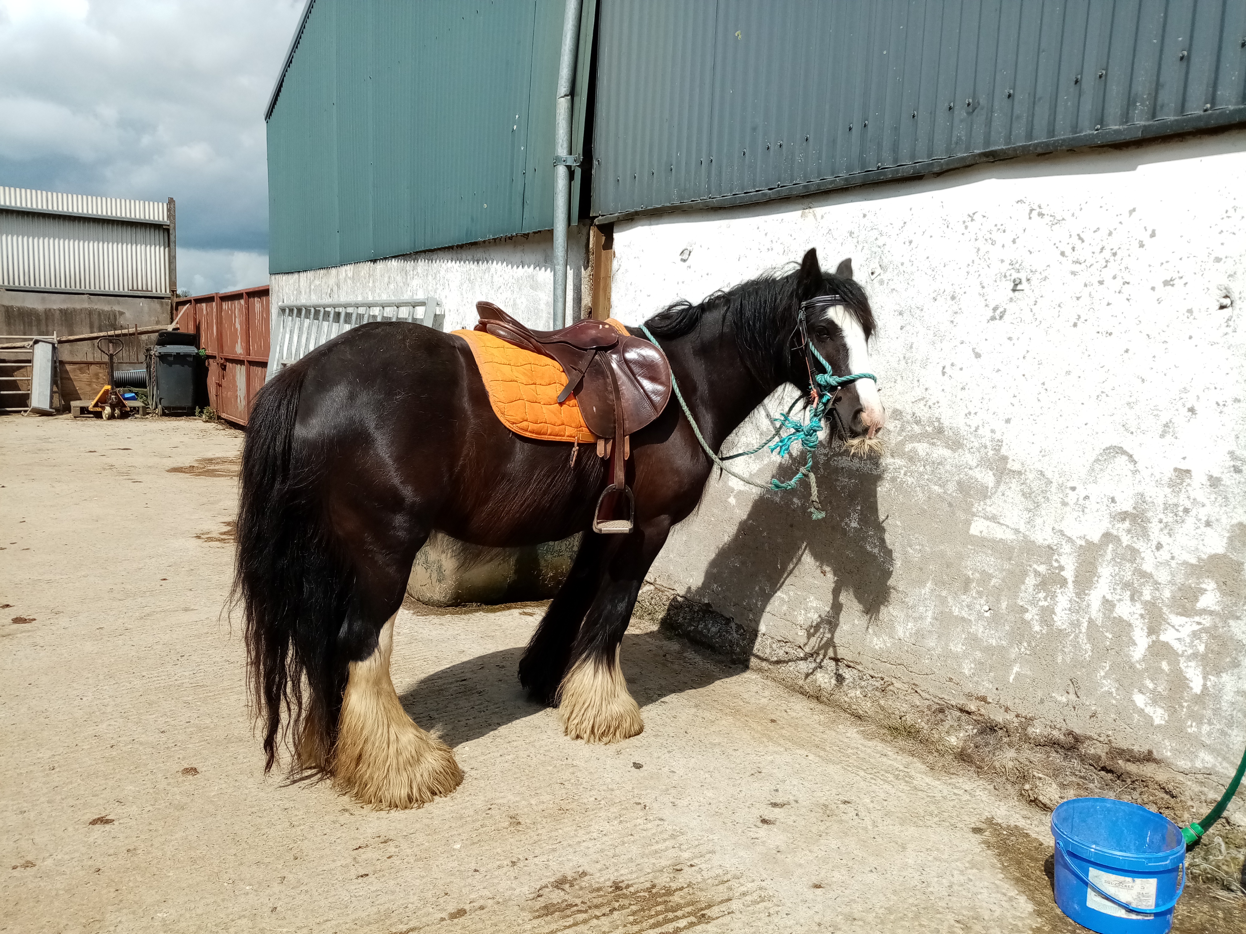 Mary - Media (Unknown)