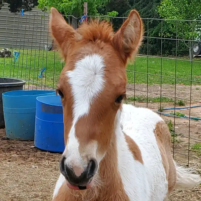 RsF Versaces Got Bubbles - Media (Unknown)