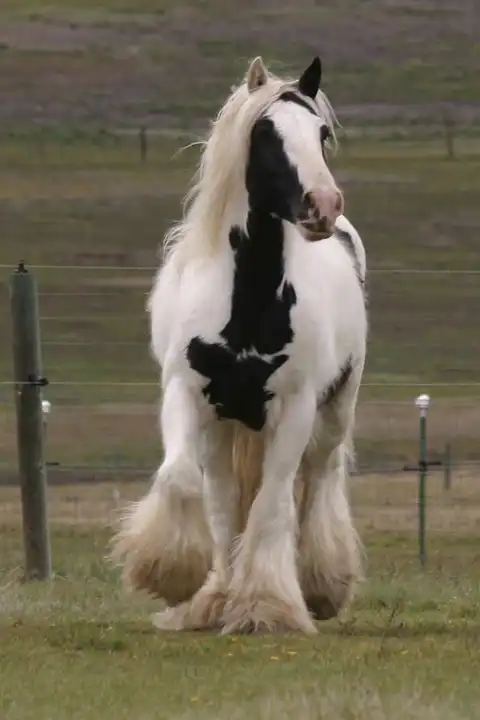 R Banner - Media (Unknown)