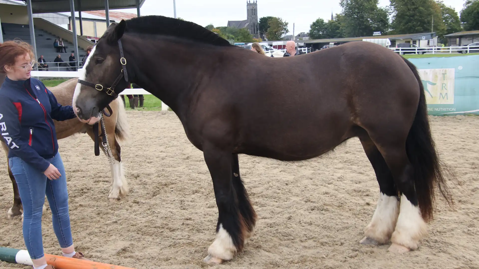Shelia, left side
