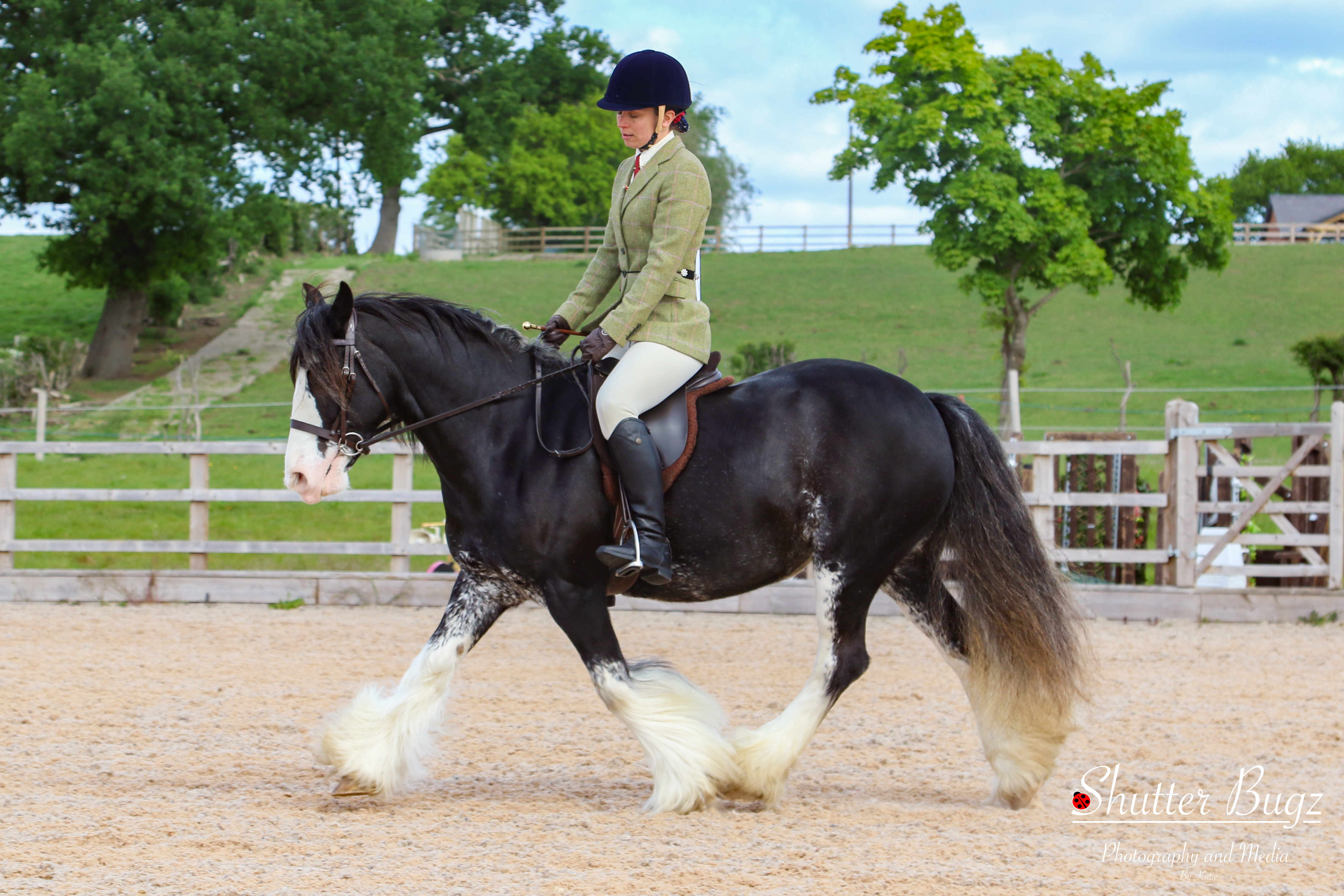 Mollie Moonshine - Media (Unknown)