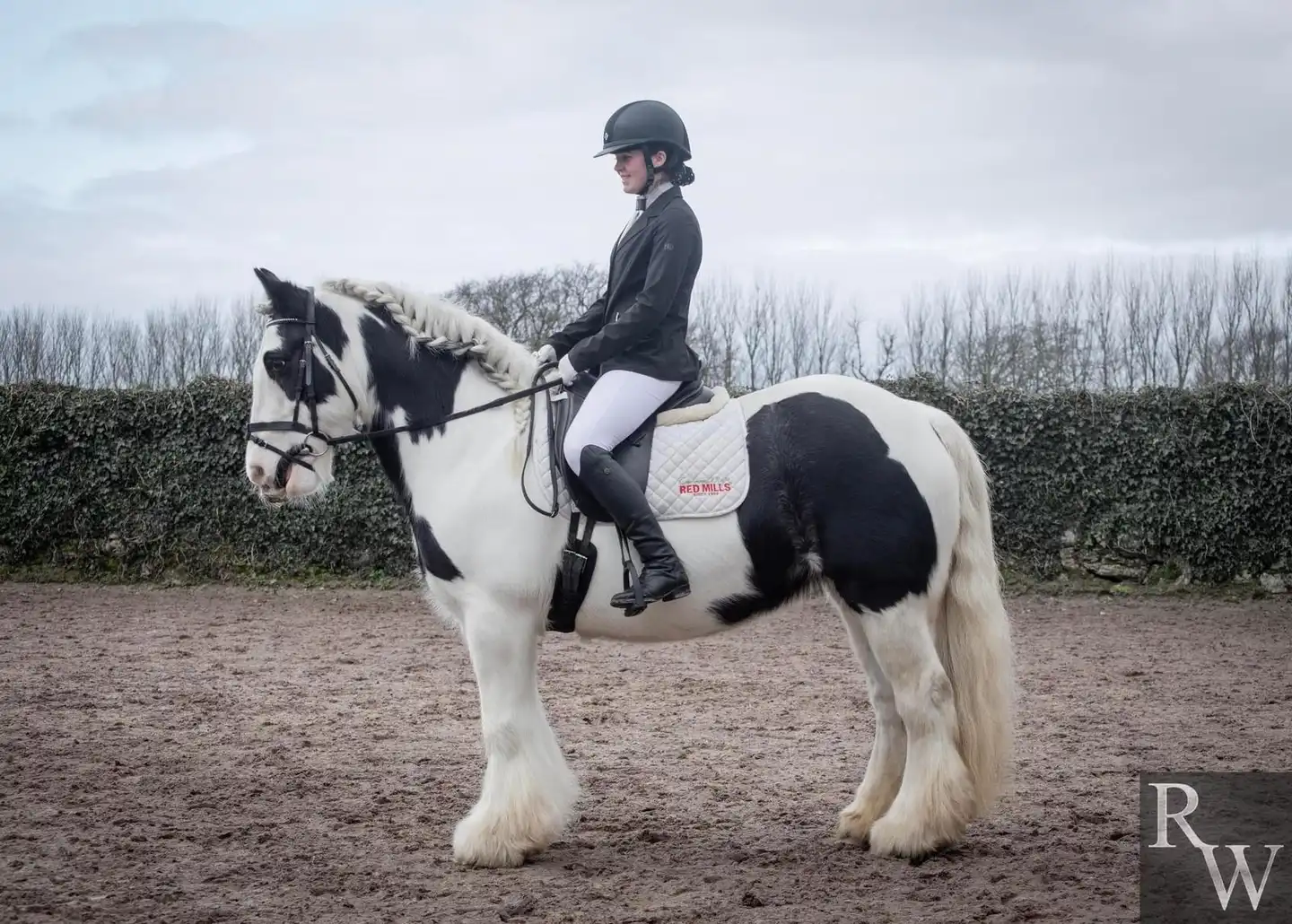 Keadies Kaleigh - Media (Unknown)