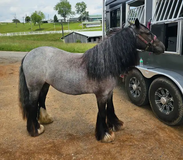 Gitt Made With Amazing Grace - Media (Unknown)